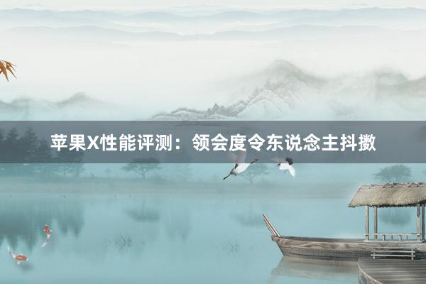 苹果X性能评测：领会度令东说念主抖擞